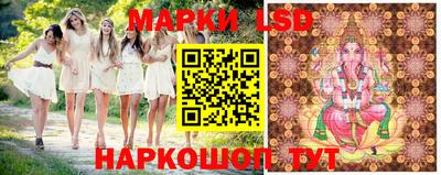 шишки Абинск