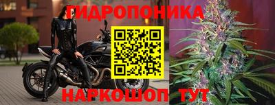 каннабис Ставрополь