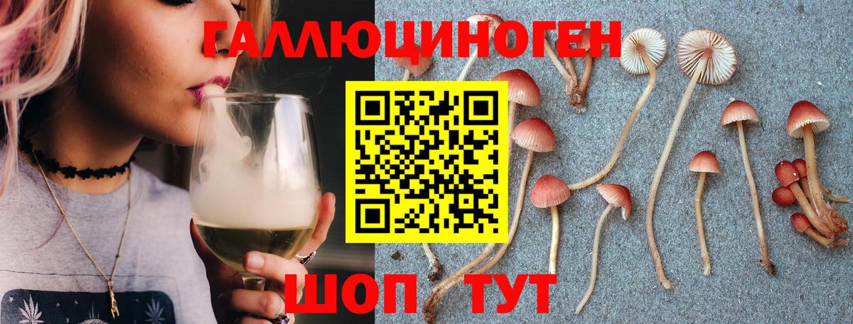 Псилоцибиновые грибы ЛСД  Арсеньев 