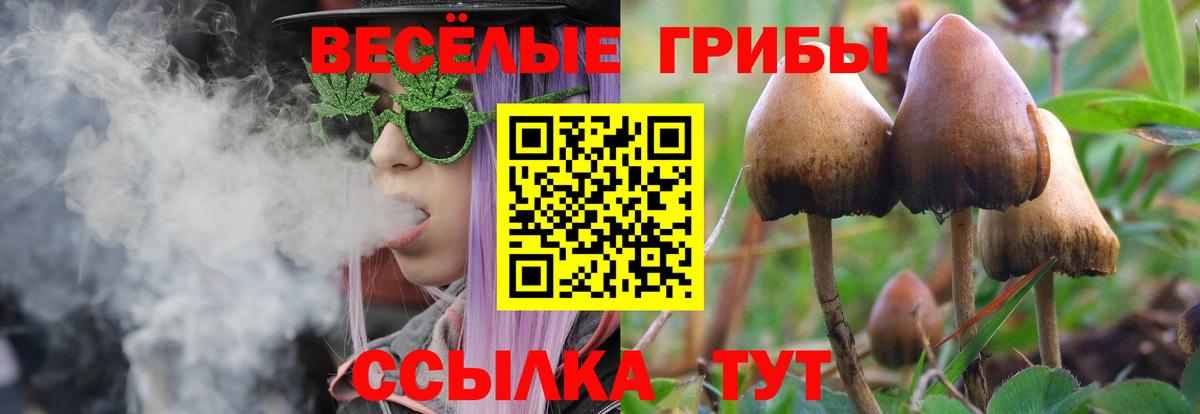 Галлюциногенные грибы GOLDEN TEACHER Арсеньев
